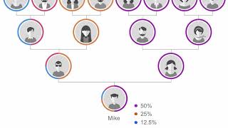 Introducing MyHeritage DNA [upl. by Yttisahc481]