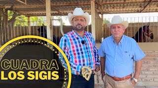 Cuadra Los Sigis 🏆 Campeones de caballos bailadores en Hermosillo [upl. by Violet]