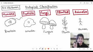 Biological Classification  MONERA   CHAPTER 2  CLASS 11 NCERT  NEET SERIES VIDEO 3 [upl. by Megan]