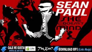 Sean Paul Ft Delirious  She Doesnt Mind Official Remix HD [upl. by Aihsek]