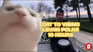 10 Hours  Cat Vibing To Ievan Polkka Official Video HD Cat Vibing To Music  Cat Vibing Meme [upl. by Ecirehc]