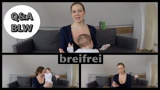 Eure Fragen  QampA  BLW  Babyledweaning  breifrei [upl. by Alauqahs]