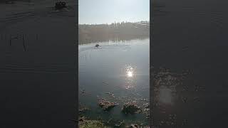 Trying new boilies from CarpArts carpfishing fishing fishinglife fishingvideo fishingtrip [upl. by Lynch]