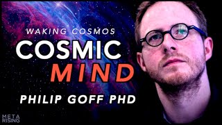 Is the Universe Conscious  Panpsychism with Philip Goff [upl. by Waechter241]