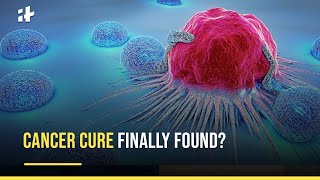 Cancer Cure Finally Found [upl. by Hayman]