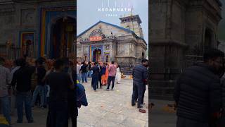 Kedarnath Mahadev mandir उत्तराखंड राज्य sorts viralvideo kedarnathtempl youtubeshorts mahadav [upl. by Eceinahs373]