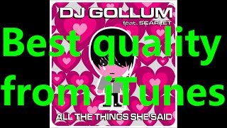 DJ Gollum  All the Things She Said feat Scarlet Radio Mix Lyrics [upl. by Odranoel]