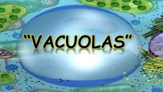 LAS VACUOLAS  BIOLOGÍA  MediCiencia [upl. by Zoller]