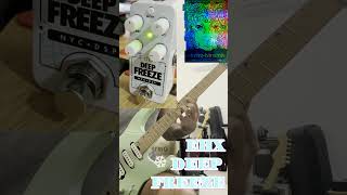 EHX PICO DEEP FREEZE Sound Retainer QUICK DEMO freeze gear [upl. by Ranna]