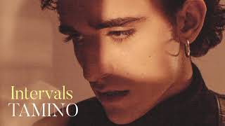 Tamino  Intervals lyrics [upl. by Triplett]