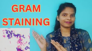 GRAM STAINING FULL DETAILS IN BENGALI  GRAM STAIN PROCEDURE gramstaining [upl. by Andromeda108]