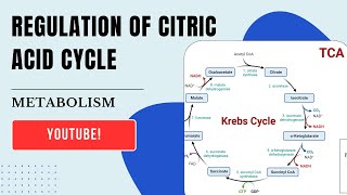 Metabolic Regulation of Citric Acid Cycle [upl. by Berkley267]