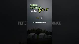 QS As Sajadah 15 alquran murottalquran [upl. by Balch589]