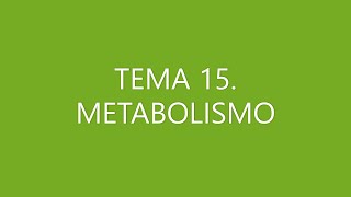 BIOLOGÍA SELECTIVIDAD METABOLISMO [upl. by Disharoon]