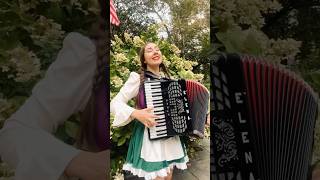 Book Accordionist for Octoberfest Pennsylvania New Jersey New York accordion elenastenkina [upl. by Atinram538]