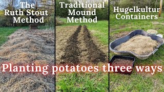 Planting Potatoes 3 Ways Ruth Stout Method  Mound amp Container amp Pigs Update  Hisea Work Boot [upl. by Theobald323]