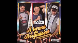 A Turma da Bregadeira  CD Promocional Verão 2017 CD Completo [upl. by Mavilia]