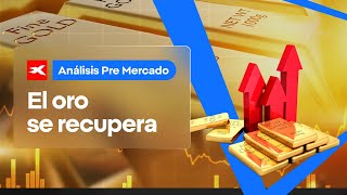 🚀 PRE MERCADO  El oro se recupera [upl. by Maureen]