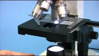 OMAX 40X2000X Biological Compound Microscope with Mechanical Stage and LED Light [upl. by Yevreh]