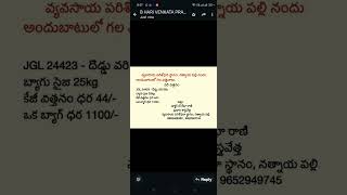 Jgl 24423 రబి సీజన్ కు అనుకూలమైన దొడ్డు వరి రకం [upl. by Ahsinert190]