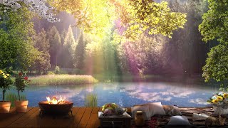 Cozy Spring Ambience  Spring Morning amp Forest Ambience  Campfire Sounds Birdsong [upl. by Drareg]