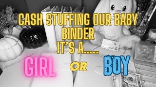 Special Edition Cash Stuffing Baby Binder  Gender Reveal [upl. by Tibbitts307]