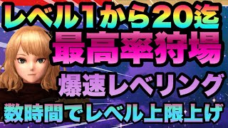 【WIZ ダフネ】最効率レベリング数時間でレベル２０も可能超最強狩り場 転職 新獲得キャラ 対策魔法使い育成解決 Wizardry Variants Daphne [upl. by Jonati829]