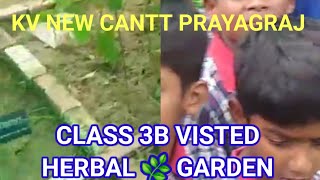 ACTIVITY BASED TEACHING AND LEARNINGCLASS 3B VISITED HERBAL GARDEN [upl. by Farman]