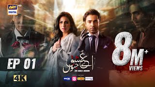 Aye Ishq e Junoon Episode 1  Ushna Shah  Sheheryar Munawar  11th Nov 2024 Eng Sub  ARY Digital [upl. by Cody]