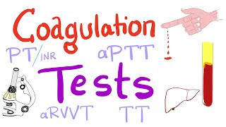 Coagulation Tests  PT aPTT TT Fibrinogen Mixing Studies [upl. by Adamec]