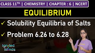 Class 11th Chemistry  Solubility Equilibria of Salts  Problem 626 to 628  Chapter 6  NCERT [upl. by Elroy]