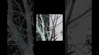 INCOMPRENDIDO Slowed  Reverb ESTE 3009 electronicmusic slowedandreverb witchhouse [upl. by Sartin]