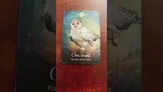 380 Cancer  Spirit Animal Oracle Message [upl. by Longan637]