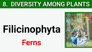 Filicinophyta  pteropsida  Diversity Among Plants class 11 [upl. by Paley]