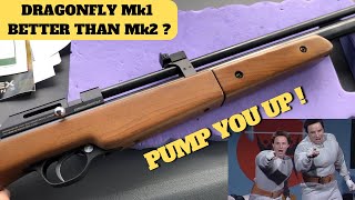 Seneca Dragonfly 177 cal Mk1  Shooting Test amp Review [upl. by Cadman]