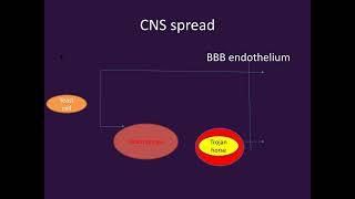 Cryptococcosis PART1Microbiology Lecture [upl. by Ymrots362]