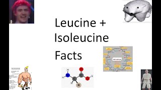 Some Super Quick Facts About Leucine and Isoleucine [upl. by Nnaeoj577]