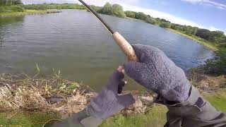 Video 17  Gin Clear Loch Insch Fishery Rainbow Trout [upl. by Ogdan]