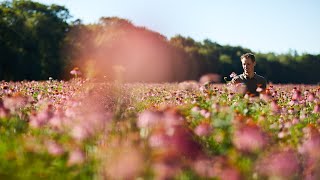 Beleef de AVogel tuinen met onze tuinmannen Joost en Frans [upl. by Angelia]