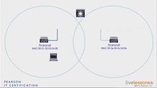 2 4 SSID BSSID MBSSID CCNA Wireless 200 355 [upl. by Gilliette210]