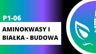 P106 Aminokwasy i białka  budowa [upl. by Bruns]