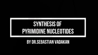 Synthesis of pyrimidine nucleotides [upl. by Renrut]