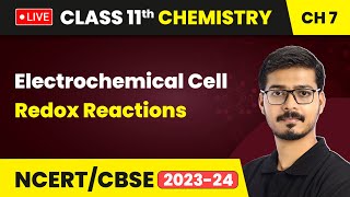 Electrochemical Cell  Redox Reactions  Class 11 Chemistry Chapter 7  LIVE [upl. by Imis]