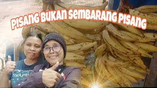 Pisang Bukan Sembarang Pisang [upl. by Kama]