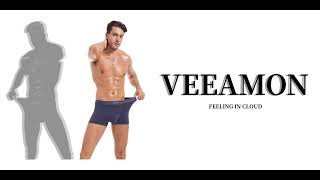 VEEAMON Mens Ice Silk Boxer Briefs Seamless Underwear Cool Silky Comfortable 4Pack With Gift Box [upl. by Henig]