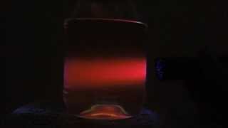 Casual Science The Beautiful Red Fluorescence of Chlorophyll [upl. by Athalie]