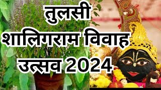 Tulsi Vivah Utsav2024 [upl. by Atteras]