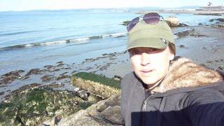 How to Make Seaweed Fertilizer [upl. by Anavi]