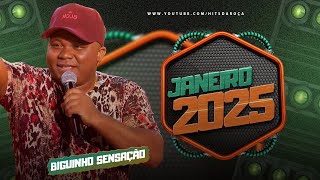 BIGUINHO SENSAÇÃO CD JANEIRO 2025 HITSDAROÇA [upl. by Seldon]