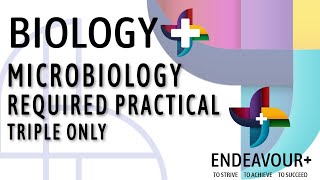 BIOL1 Microbiology Required Practical Triple Only [upl. by Eelirak]